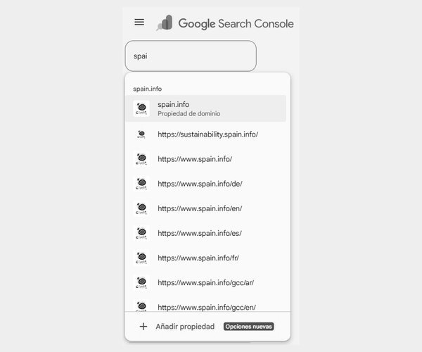 Propiedades de Google Search Console de spain.info - SEO internacional